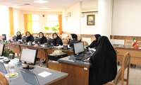 بررسی شیوه نامه فن آوری اطلاعات 