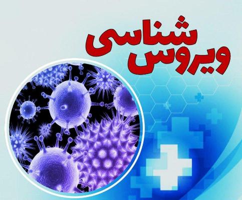 گروه ویروس شناسی