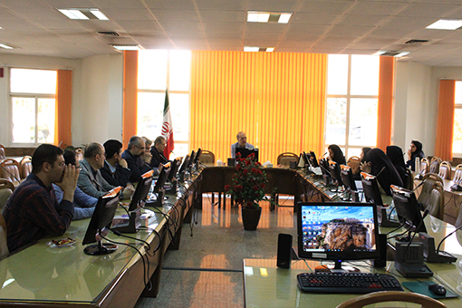 جلسه بررسی پیرانون مادران پرخطر